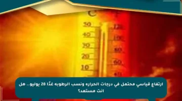 ارتفاع قياسي محتمل في درجات الحرارة ونسب الرطوبة غدًا 28 يوليو.. هل أنت مستعد؟
